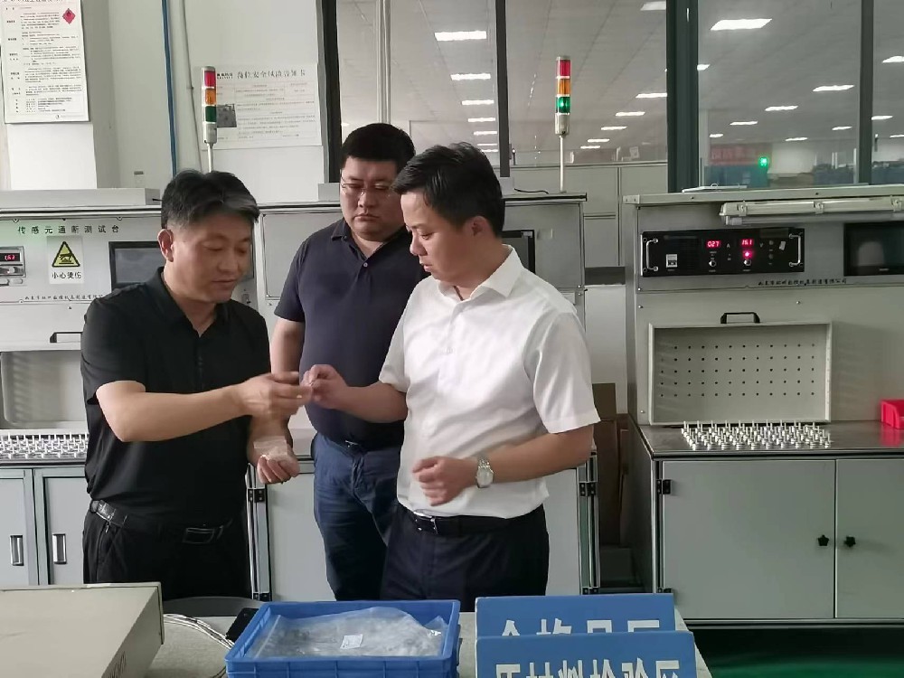 Standing committee members come to our company to provide guidance on work